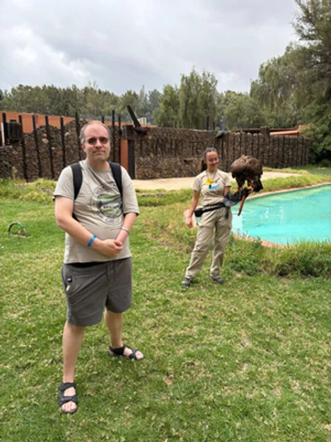 Tenerife — holiday photo 2